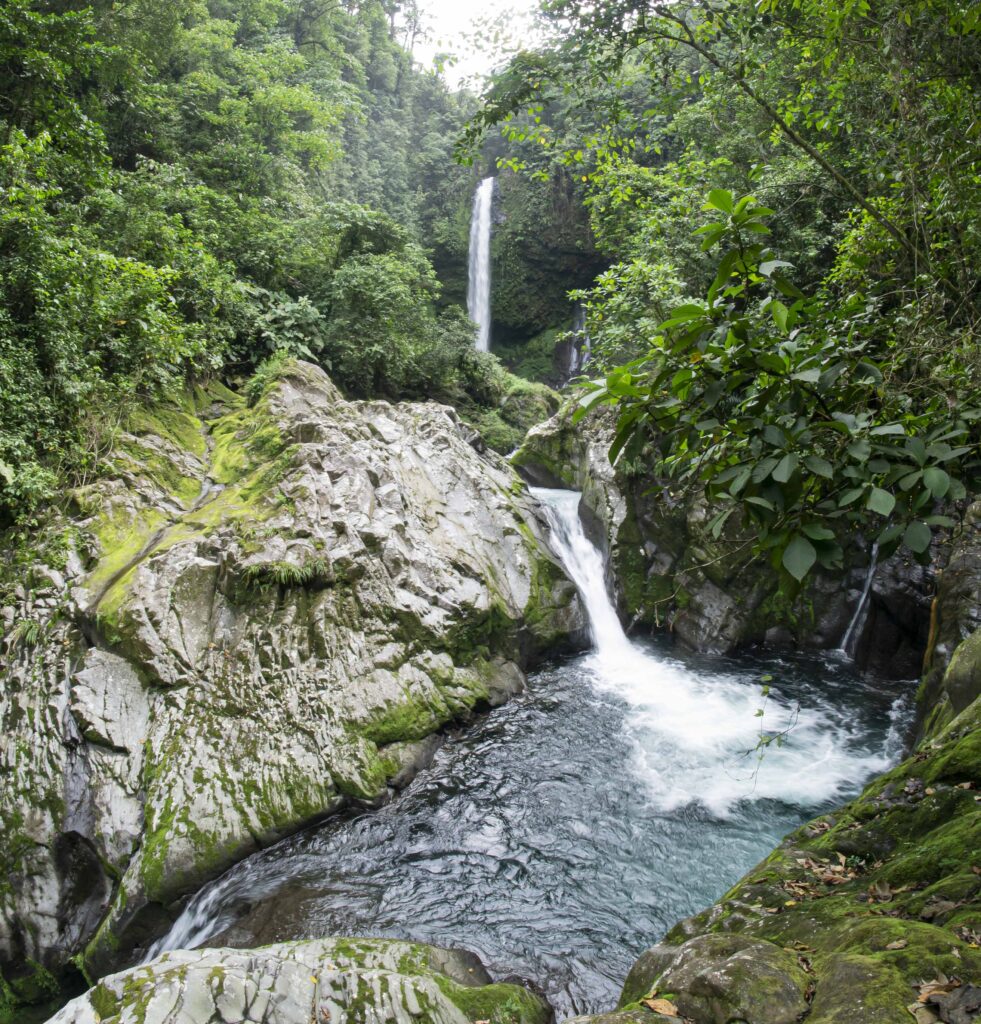 Catarata los novillos 1